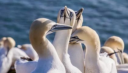 时政微纪录丨习主席的阿斯塔纳时间