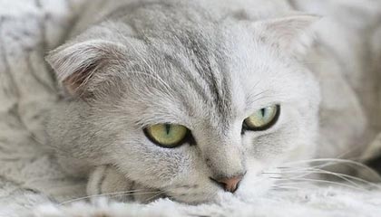 印巴绝不能乱！中方主动发出邀请，当着巴方的面，外长果断交底