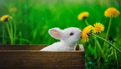 实战击落多架战机！揭秘歼-10曾面临的“关键时刻”