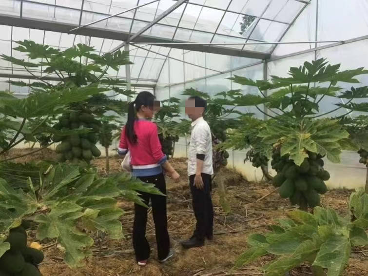 翟欣欣敲诈勒索案一审未当庭宣判！苏享茂家属拒调解坚持追责