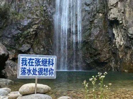 “我在张继科落水处很想你”?景区最新回应