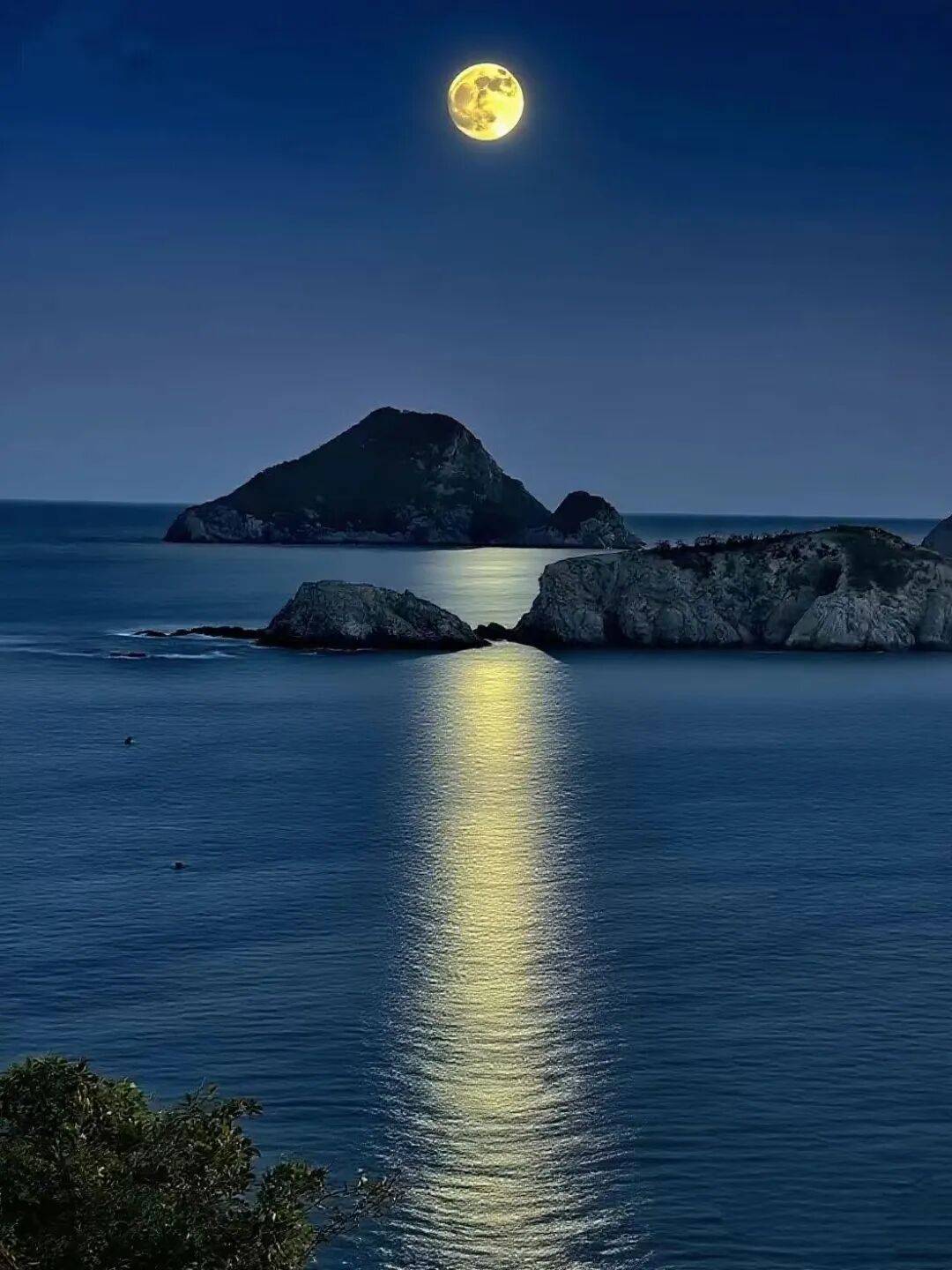 超级月亮邂逅中秋!宁德新晋赏月地大盘点,快收藏→