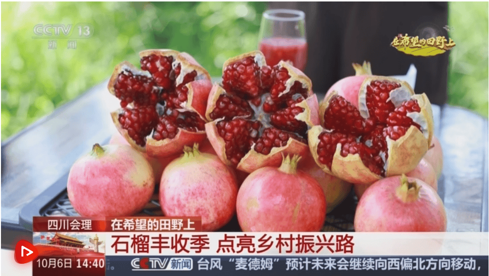 产销两旺!“小特产”变身变身乡村振兴“致富果” 激活“甜蜜经济”新热力