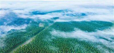 生态文明建设实现新进步(新时代画卷·决战决胜“十四五”)