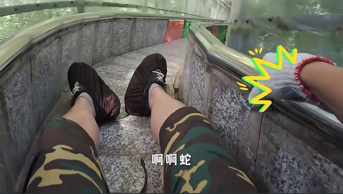 游客称在广西丹炉山滑道遇蛇,景区致歉:这么多年就这一次,每年都做防蛇处理