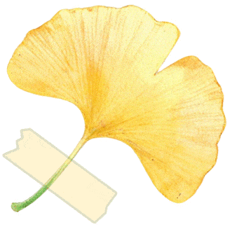 青岛再迎中雨!连续三天雨雨雨!较强冷空气随后,气温降降降!