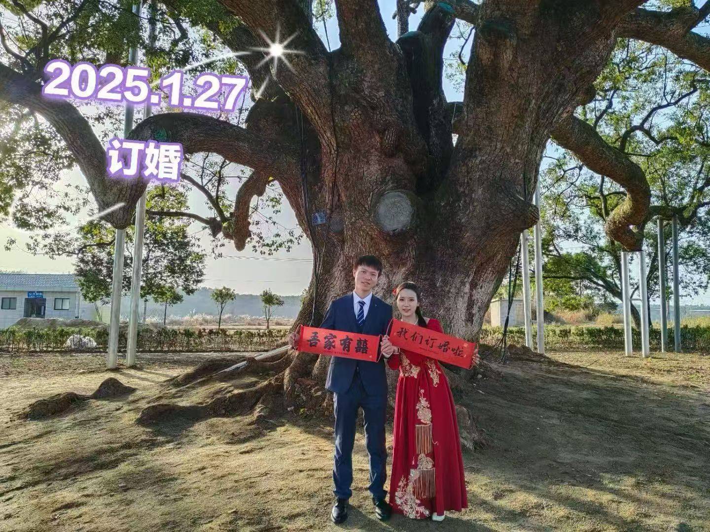 岳阳情侣连续9年在家乡千年古樟树下合影,今年国庆终修正果:希望爱情像古树一样长久