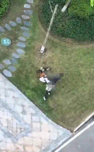 唐某(男,36岁)殴打小区遛狗女子,已立案! 唐某(男,36岁)殴打小区遛狗女子,已立案!