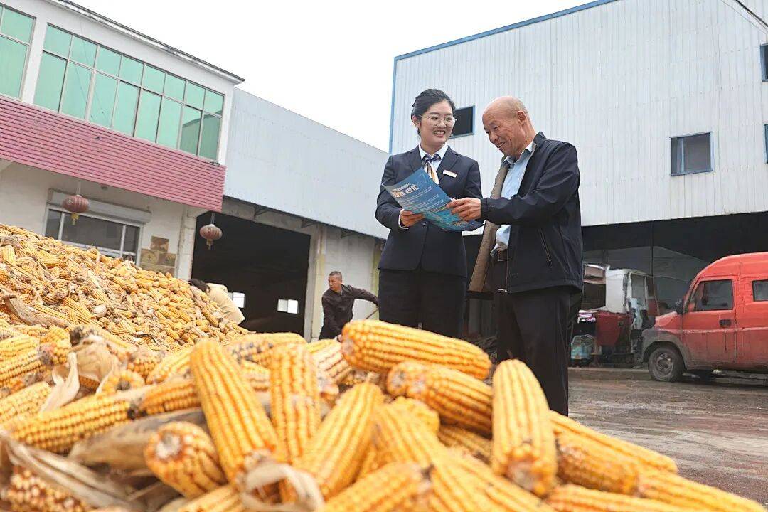 邮储银行金融服务秋收一线，助力丰收粮满仓