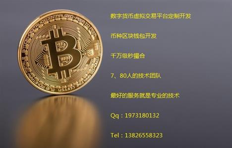 虚拟币的别名和地址是什么(虚拟币的别名和地址是什么呢)
