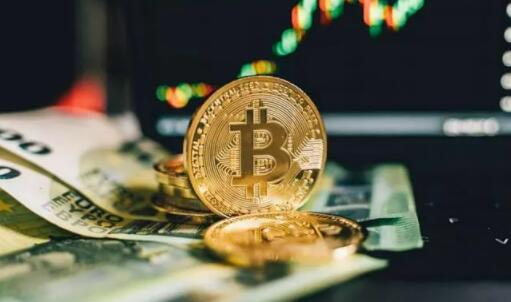 包含国内最大的三家虚拟币交易平台的词条