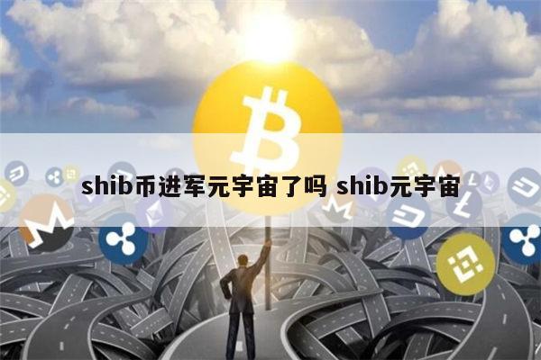 虚拟币元宇宙币(元宇宙币在哪个交易所)