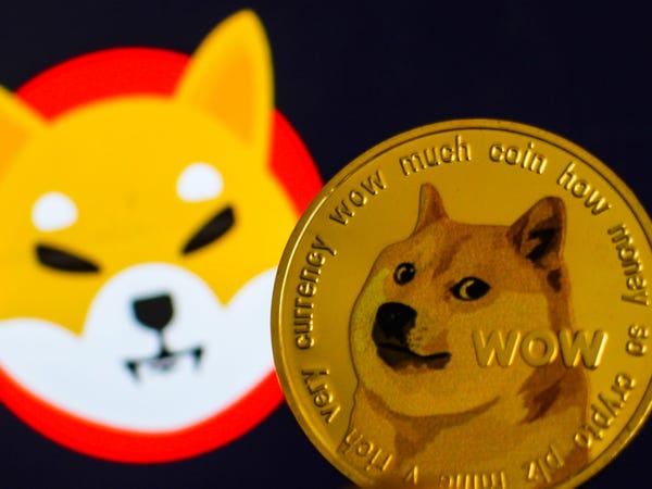 doge虚拟币(DOGE虚拟币价格)