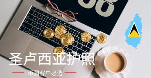 虚拟币都移民哪个国家(虚拟币都移民哪个国家最多)